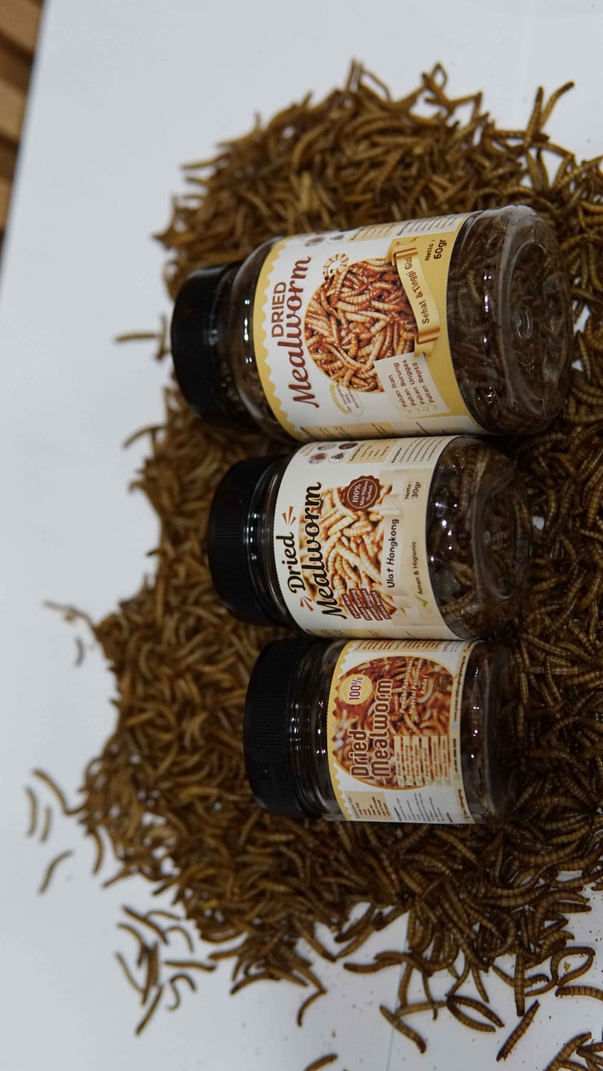 Mealworm Pakan Sultan